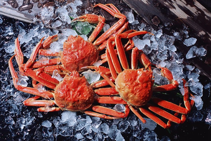 广州机场进口斯里兰卡螃蟹报关费用 广州机场进口斯里兰卡螃蟹报关费用