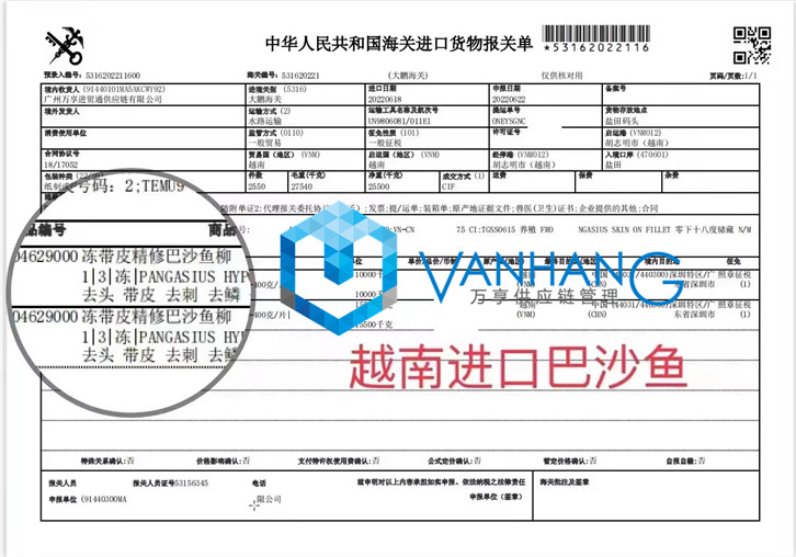 越南冷冻巴沙鱼柳进口清关资料