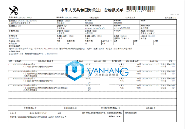 进口加拿大赤狐生态标本报关